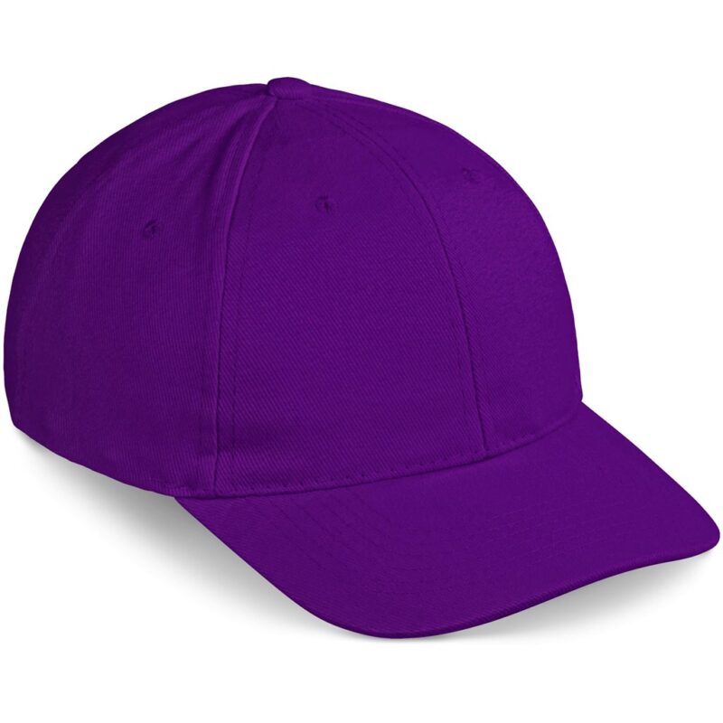 Pro Basic Cap - 6 Panel - Image 24
